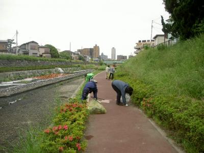 芝川写真2