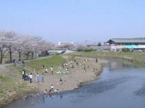 黒目川（朝霞市）