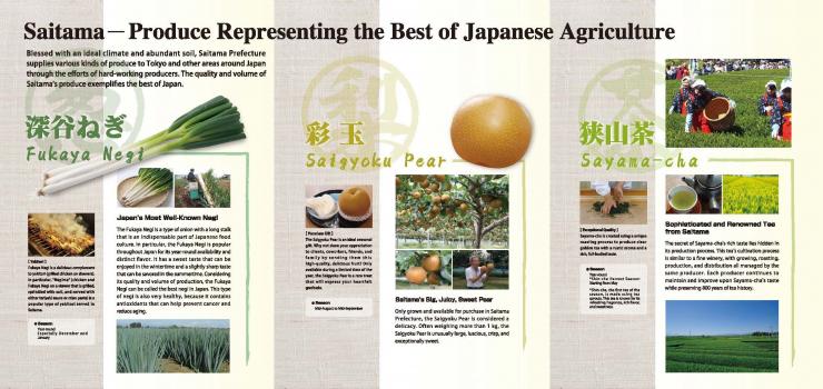 Saitama - Produce Representing the Best of Japanese Agriculture