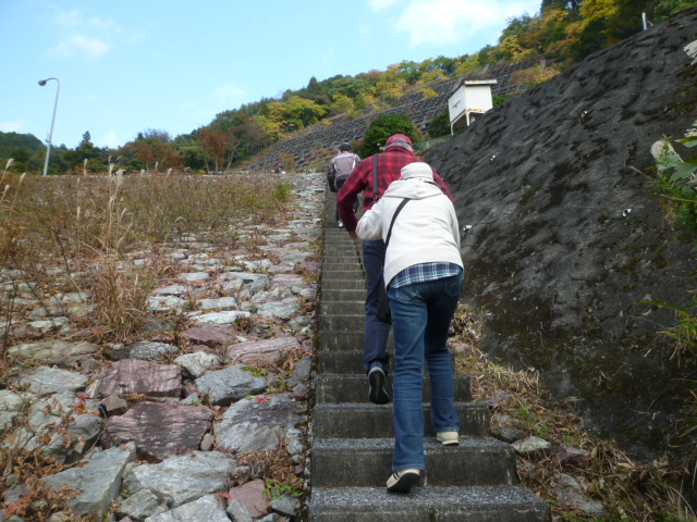 法面を登ります2