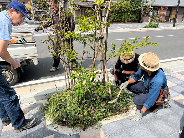 寄居の緑と空間を楽しむ会