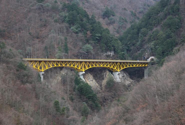 雁坂大橋全景