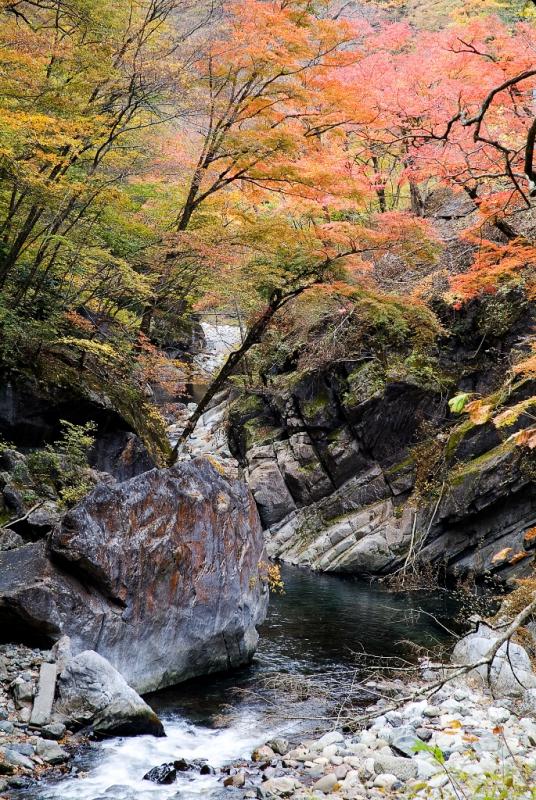 中津峡の紅葉