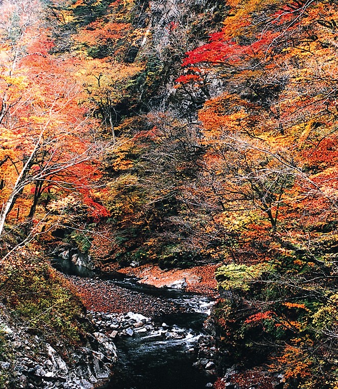 中津峡の紅葉