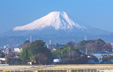 写真：富士見市1