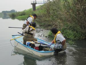 電気ショッカーを用いた外来魚駆除調査時の写真