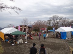さくら祭り