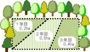 対象となる行為