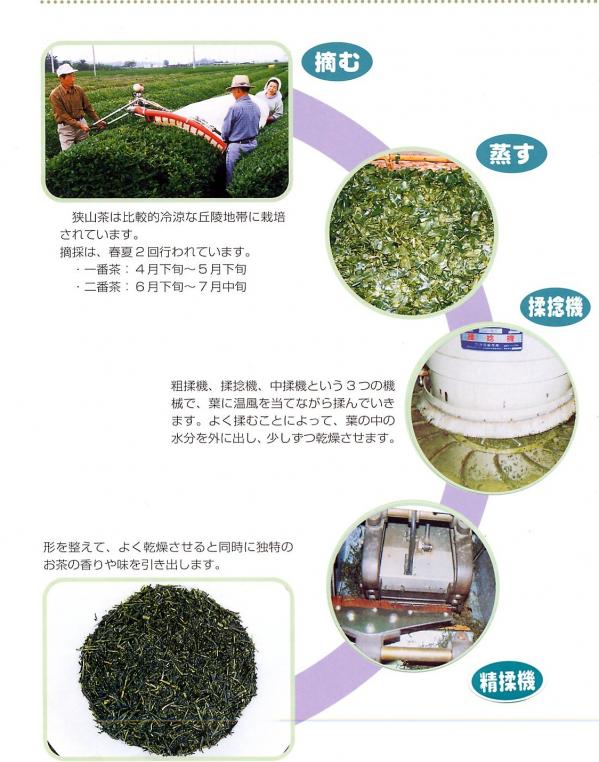 お茶のできるまでの過程図