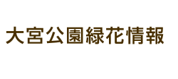 大宮公園緑花情報